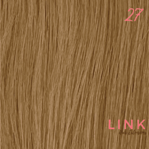 shade 27 hair extensions colour