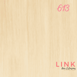 shade 613 hair extensions colour