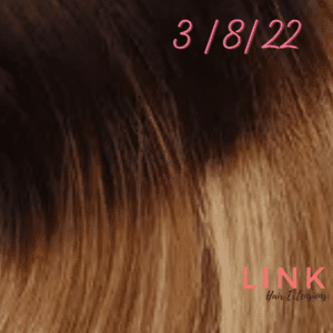 3 / 8/ 22 Hair Extensions Shade colour