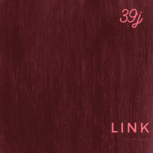 #39J Plum Deep Red Link Hair Extensions