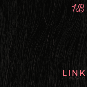 shade 1b hair extensions natural black